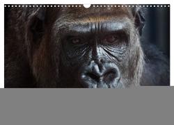 Gorillas. Kraftvolle Pazifisten (Wandkalender 2024 DIN A3 quer), CALVENDO Monatskalender von Stanzer,  Elisabeth