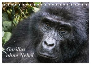 Gorillas ohne Nebel (Tischkalender 2024 DIN A5 quer), CALVENDO Monatskalender von Helmut Gulbins,  Dr.
