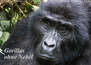 Gorillas ohne Nebel (Wandkalender 2023 DIN A3 quer) von Helmut Gulbins,  Dr.