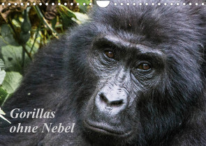 Gorillas ohne Nebel (Wandkalender 2023 DIN A4 quer) von Helmut Gulbins,  Dr.