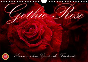 Gothic Rose – Rosen aus dem Garten der Finsternis (Wandkalender 2022 DIN A4 quer) von Cross,  Martina