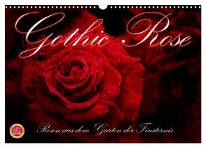 Gothic Rose – Rosen aus dem Garten der Finsternis (Wandkalender 2024 DIN A3 quer), CALVENDO Monatskalender von Cross,  Martina