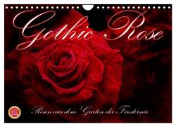 Gothic Rose – Rosen aus dem Garten der Finsternis (Wandkalender 2024 DIN A4 quer), CALVENDO Monatskalender von Cross,  Martina