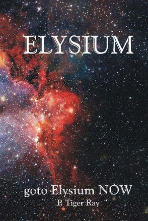 goto Elysium NOW von Ray,  P. Tiger