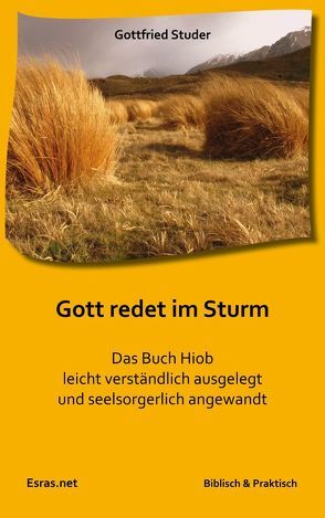 Gott redet im Sturm von Gysel,  David, Studer,  Gottfried