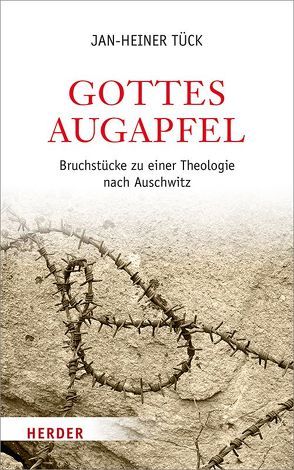 Gottes Augapfel von Tück,  Jan Heiner