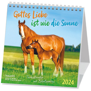 Gottes Liebe ist wie die Sonne 2024