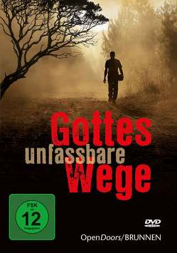 Gottes unfassbare Wege von Froesch,  Sabine, Kopp,  Daniel, Ripken,  Nik