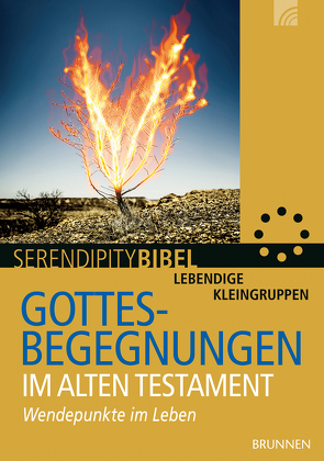 Gottesbegegnungen im Alten Testament von Kürle,  Stefan