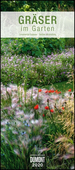 Gräser im Garten 2020 – DUMONT Wandkalender – Garten-Kalender – Hochformat 30,0 x 68,5 cm von Becker Jürgen, DUMONT Kalenderverlag