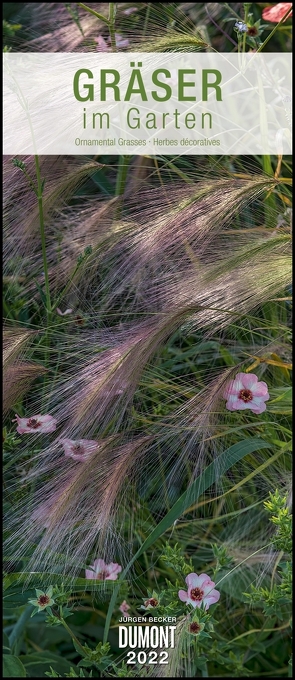 Gräser im Garten 2022 – DUMONT Wandkalender – Garten-Kalender – Hochformat 30 x 70 cm von Becker Jürgen