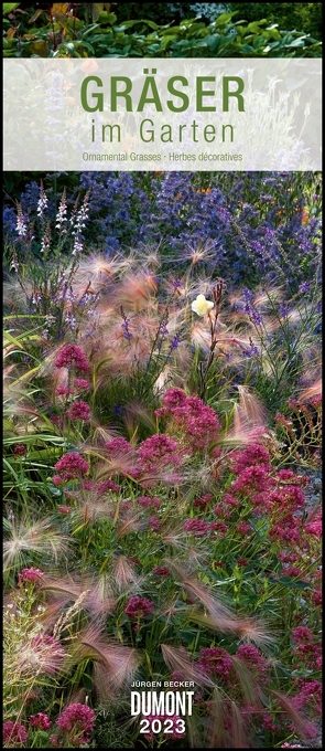 Gräser im Garten 2023 – DUMONT Wandkalender – Garten-Kalender – Hochformat 30 x 70 cm von Becker Jürgen