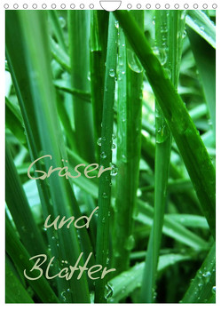 Gräser und Blätter (Wandkalender 2022 DIN A4 hoch) von Otto,  Anja