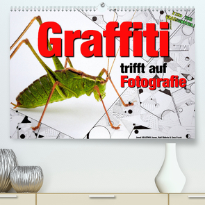 Graffiti trifft auf Fotografie (Premium, hochwertiger DIN A2 Wandkalender 2022, Kunstdruck in Hochglanz) von KEASTWO Jones,  Jonni, Wehrle und Uwe Frank,  Ralf