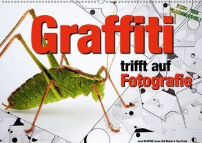 Graffiti trifft auf Fotografie (Wandkalender 2019 DIN A2 quer) von KEASTWO Jones,  Jonni, Wehrle und Uwe Frank,  Ralf