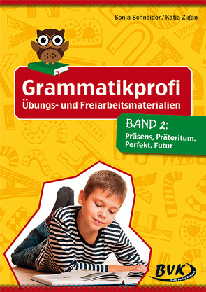 Grammatikprofi: Übungs- und Freiarbeitsmaterialien von Schneider,  Sonja, Thoenes,  Sonja, Zigan ,  Katja