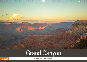 Grand Canyon – Wunder der Natur (Wandkalender 2023 DIN A3 quer) von Potratz,  Andrea