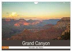 Grand Canyon – Wunder der Natur (Wandkalender 2024 DIN A4 quer), CALVENDO Monatskalender von Potratz,  Andrea