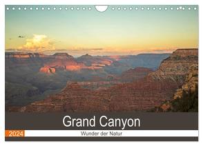 Grand Canyon – Wunder der Natur (Wandkalender 2024 DIN A4 quer), CALVENDO Monatskalender von Potratz,  Andrea