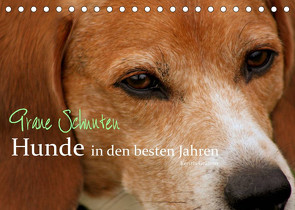 Graue Schnuten – Hunde in den besten Jahren (Tischkalender 2022 DIN A5 quer) von Grüttner,  Kerstin