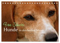 Graue Schnuten – Hunde in den besten Jahren (Tischkalender 2024 DIN A5 quer), CALVENDO Monatskalender von Grüttner,  Kerstin