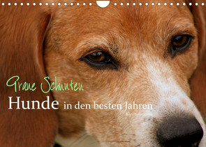 Graue Schnuten – Hunde in den besten Jahren (Wandkalender 2022 DIN A4 quer) von Grüttner,  Kerstin