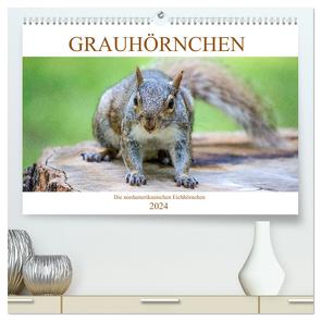 Grauhörnchen-Die nordamerikanischen Eichhörnchen (hochwertiger Premium Wandkalender 2024 DIN A2 quer), Kunstdruck in Hochglanz von / pixs:sell@Adobe Stock,  pixs:sell@fotolia