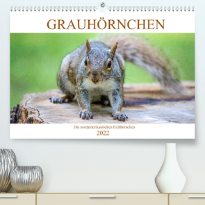 Grauhörnchen-Die nordamerikanischen Eichhörnchen (Premium, hochwertiger DIN A2 Wandkalender 2022, Kunstdruck in Hochglanz) von pixs:sell@fotolia, Stock,  pixs:sell@Adobe