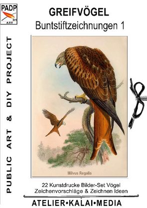 Greifvögel : Buntstiftzeichnungen 1 von ATELIER.KALAI.MEDIA,  Bild-Kunst-Verlag