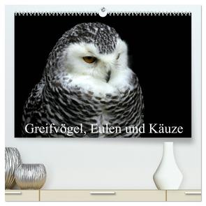 Greifvögel, Eulen und Käuze (hochwertiger Premium Wandkalender 2024 DIN A2 quer), Kunstdruck in Hochglanz von Klatt,  Arno