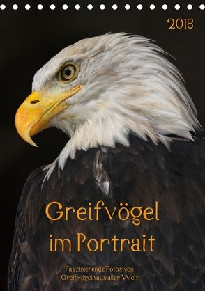 Greifvögel im PortraitAT-Version (Tischkalender 2018 DIN A5 hoch) von Tipka (GUTI-Fotos),  Guido