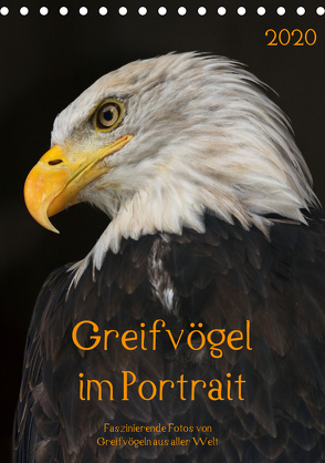 Greifvögel im PortraitAT-Version (Tischkalender 2020 DIN A5 hoch) von Tipka (GUTI-Fotos),  Guido