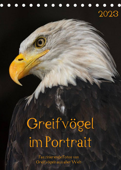 Greifvögel im PortraitAT-Version (Tischkalender 2023 DIN A5 hoch) von Tipka (GUTI-Fotos),  Guido