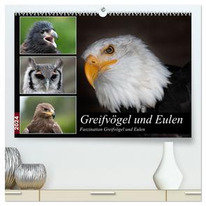 Greifvögel und Eulen (hochwertiger Premium Wandkalender 2024 DIN A2 quer), Kunstdruck in Hochglanz von Trimbach,  Jürgen