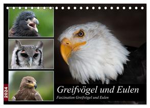 Greifvögel und Eulen (Tischkalender 2024 DIN A5 quer), CALVENDO Monatskalender von Trimbach,  Jürgen