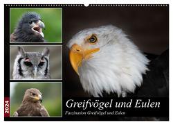 Greifvögel und Eulen (Wandkalender 2024 DIN A2 quer), CALVENDO Monatskalender von Trimbach,  Jürgen