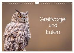 Greifvögel und Eulen (Wandkalender 2024 DIN A4 quer), CALVENDO Monatskalender von van Hauten,  Markus