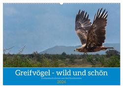Greifvögel – wild und schön (Wandkalender 2024 DIN A2 quer), CALVENDO Monatskalender von Pohl,  Bruno