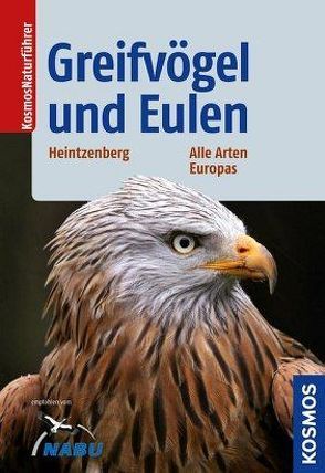 Greifvögel und Eulen von Heintzenberg,  Felix