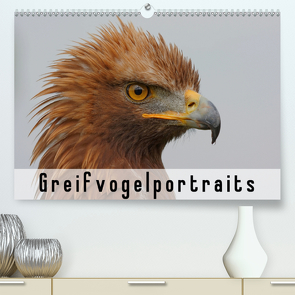 Greifvogelportraits (Premium, hochwertiger DIN A2 Wandkalender 2021, Kunstdruck in Hochglanz) von Wolf,  Gerald