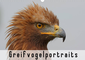Greifvogelportraits (Wandkalender 2022 DIN A3 quer) von Wolf,  Gerald
