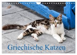Griechische Katzen (Wandkalender 2024 DIN A4 quer), CALVENDO Monatskalender von Lumplecker,  Christine