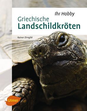 Griechische Landschildkröten von Zirngibl,  Rainer