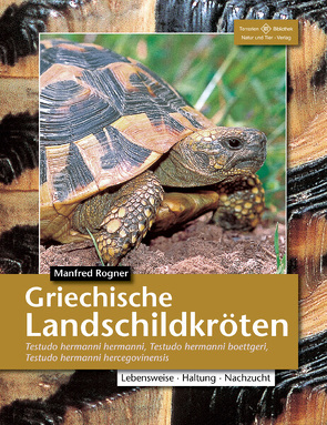 Griechische Landschildkröten von Rogner,  Manfred