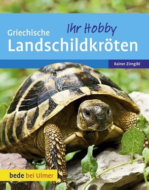 Griechische Landschildkröten von Zirngibl,  Rainer