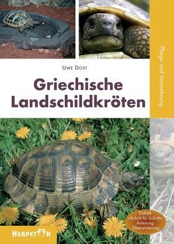 Griechische Landschildkröten von Dost,  Uwe