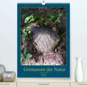 Grimassen der Natur (Premium, hochwertiger DIN A2 Wandkalender 2022, Kunstdruck in Hochglanz) von Kareva,  Eugeniya