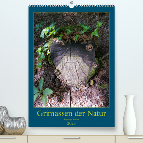 Grimassen der Natur (Premium, hochwertiger DIN A2 Wandkalender 2023, Kunstdruck in Hochglanz) von Kareva,  Eugeniya