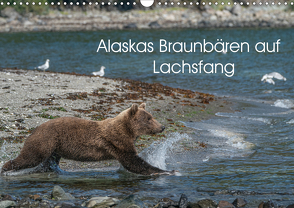 Grizzlybären im Katmai Nationalpark Alaska (Wandkalender 2021 DIN A3 quer) von Photo4emotion.com
