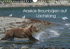 Grizzlybären im Katmai Nationalpark Alaska (Wandkalender 2021 DIN A4 quer) von Photo4emotion.com